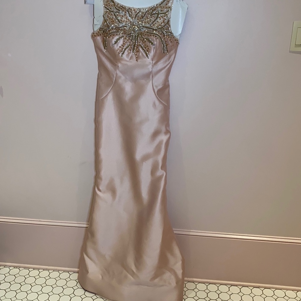 Terani Couture blush evening gown